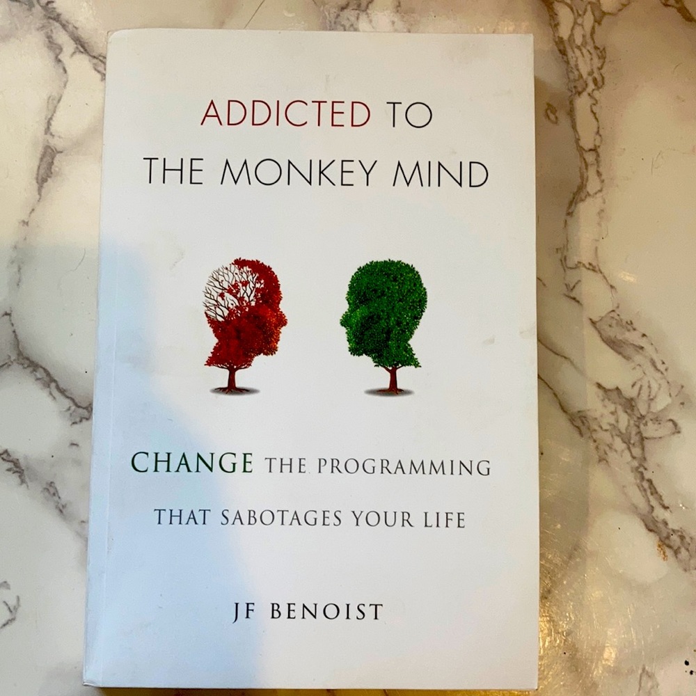 Addicted To The Monkey Mind by JF Benoist